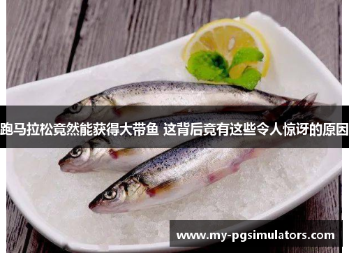 跑马拉松竟然能获得大带鱼 这背后竟有这些令人惊讶的原因